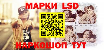 МДПВ Бердск