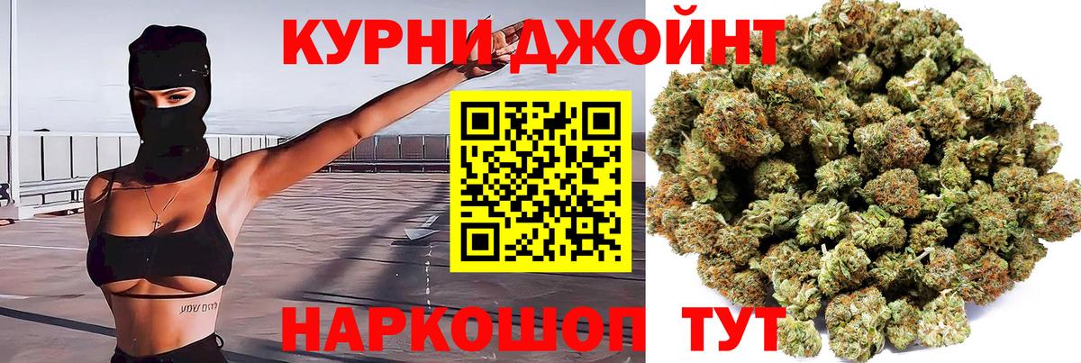 Каннабис тримм  Конопля OG Kush  МАРИХУАНА сатива  Батайск  Вход с VPN  Канабис план 